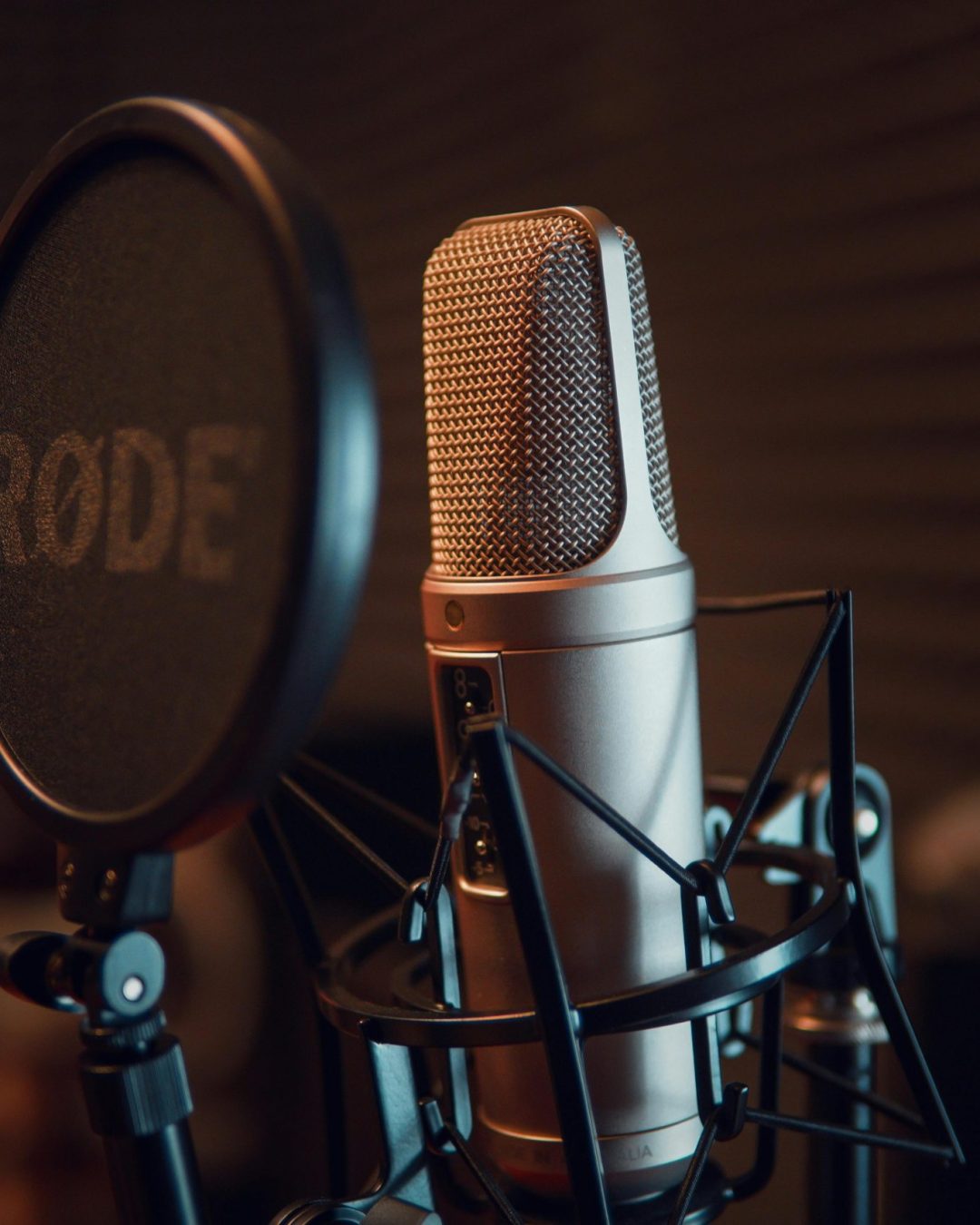 pexels-dmitry-demidov-515774-3783471